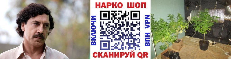 Сколько стоит Нижний Тагил Галлюциногенные грибы Гашиш MDMA КОКАИН