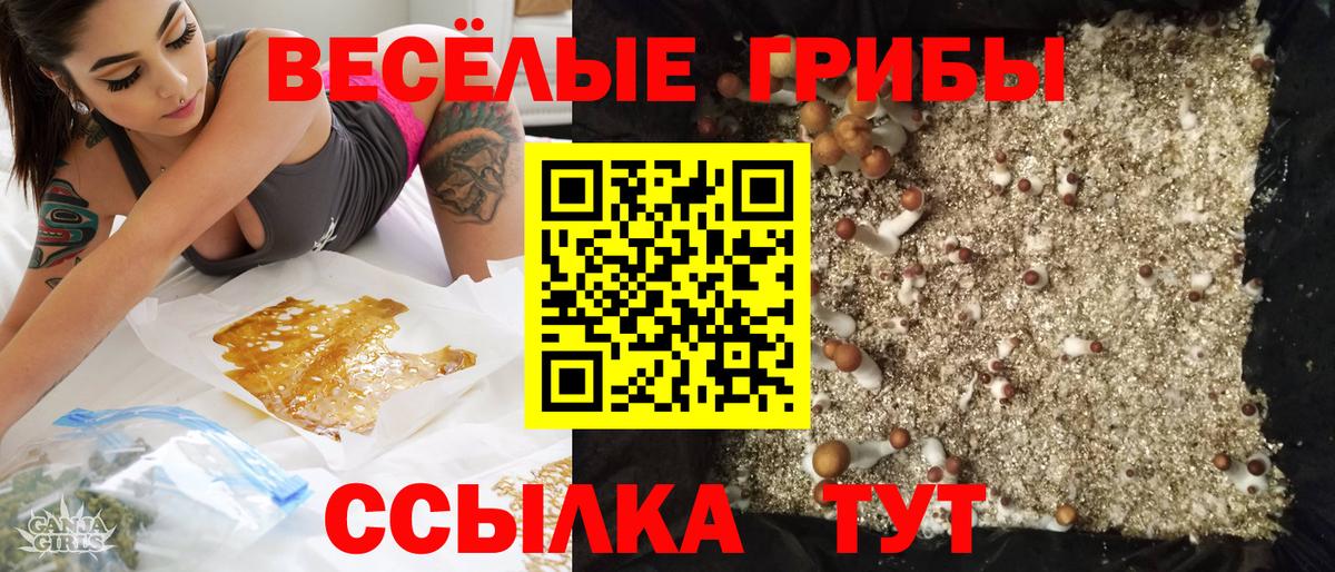 Нижний Тагил  Псилоцибиновые грибы MAGIC MUSHROOMS  Псилоцибиновые грибы GOLDEN TEACHER  цена   Вход с VPN 