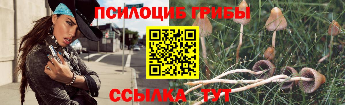 Галлюциногенные грибы Psilocybe Нижний Тагил
